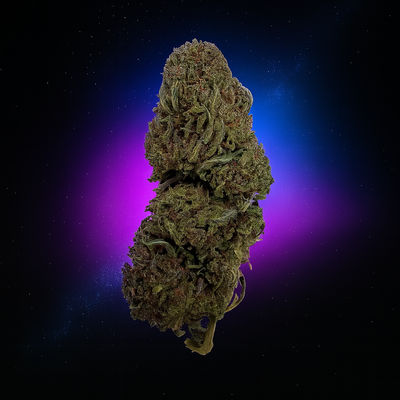 Jack Herer | 20% THCX 2.0