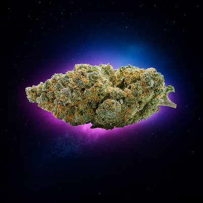 Swiss Cheese | 23% CBD | Indoor