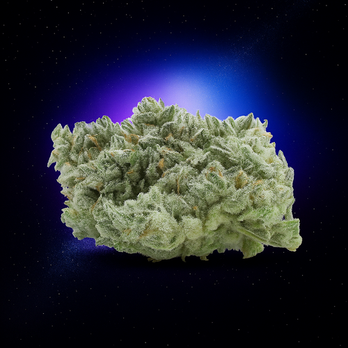 Lemon Skunk | 20% CBD | GreenHouse