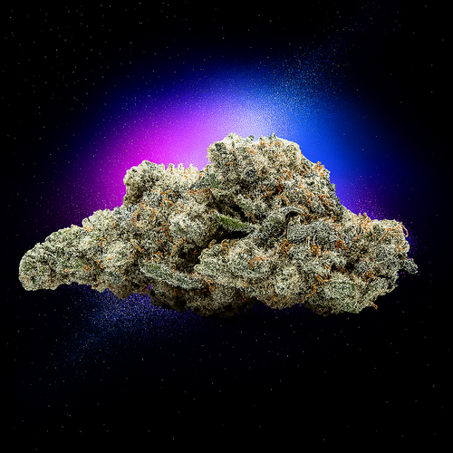 Lemon Haze | 23% CBD | Indoor