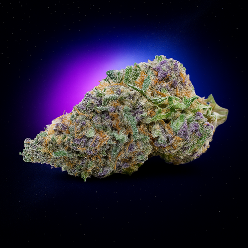 Harlequin | 23% CBD | Indoor