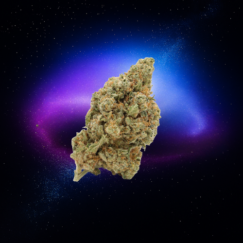 Amnésia Haze | 20% 10-OH-HHC